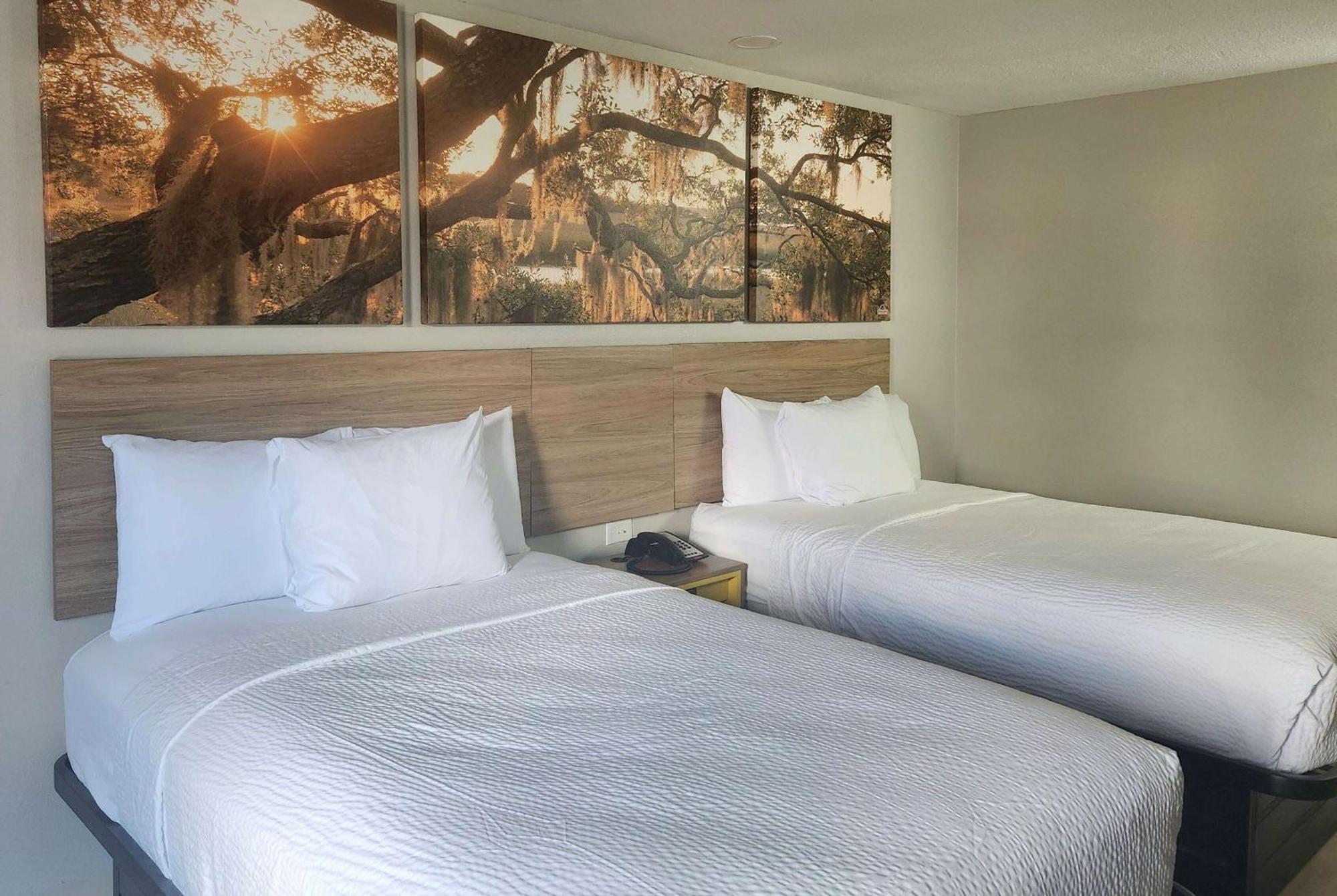 Days Inn By Wyndham Lafayette Scott מראה חיצוני תמונה